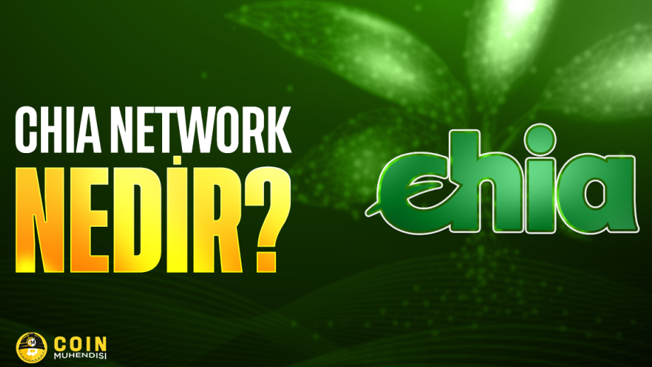 chia coin nedir nasil alinir kripto para rehberi 1
