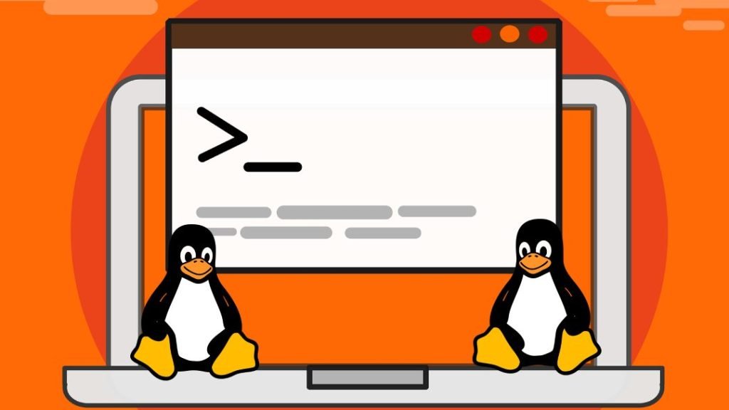 Programcılar İçin En İyi Linux Dağıtımları: Kodlama Deneyiminizi Geliştirin 5 programcilar icin en iyi linux dagitimlari kodlama deneyiminizi gelistirin